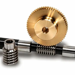 Duplex Worm Gear Set 1