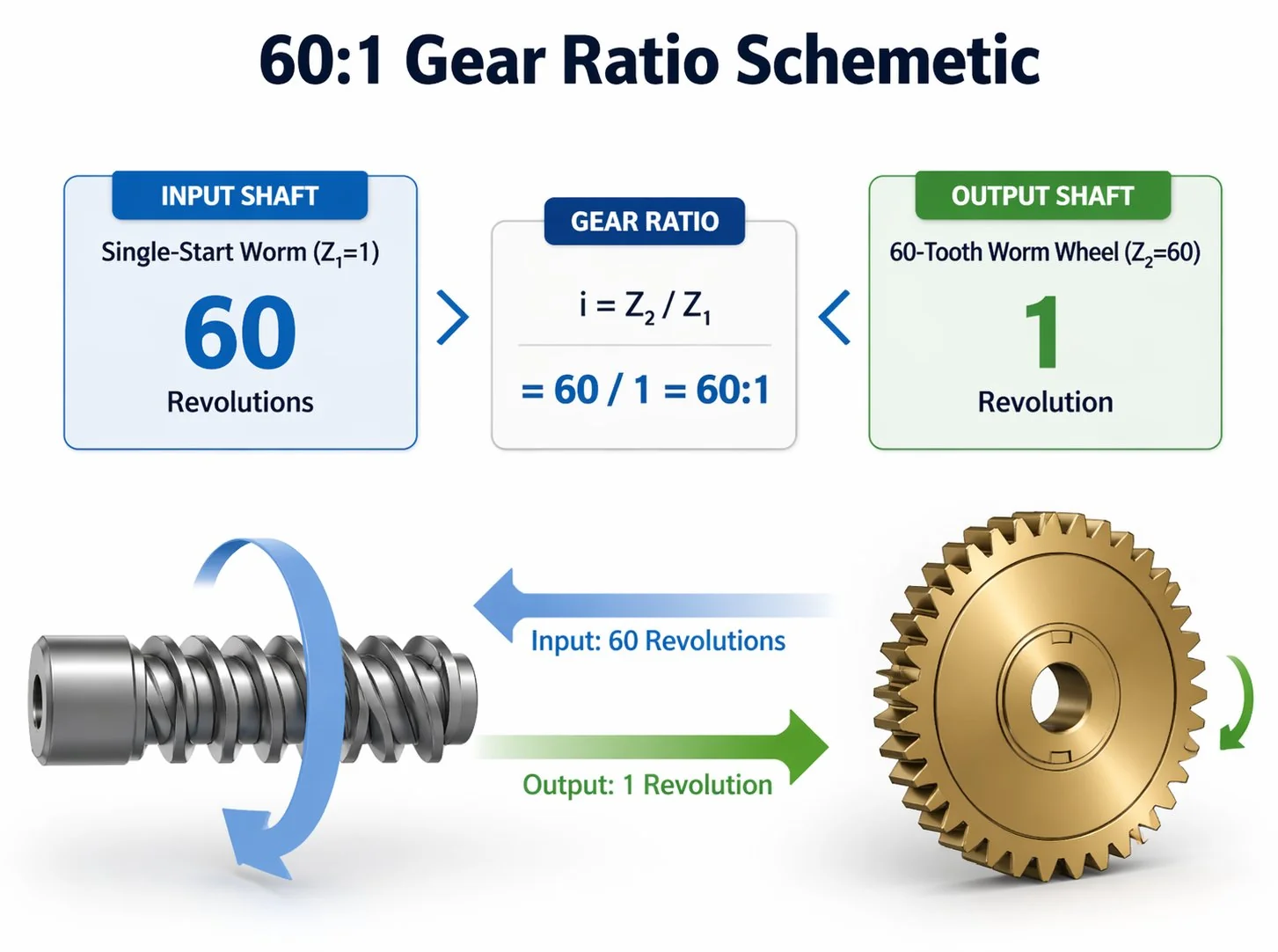 Worm gear ratio calculation schematic showing worm starts and worm wheel teeth