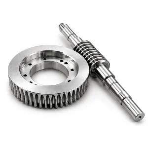 Stainless Steel Worm Gear-1