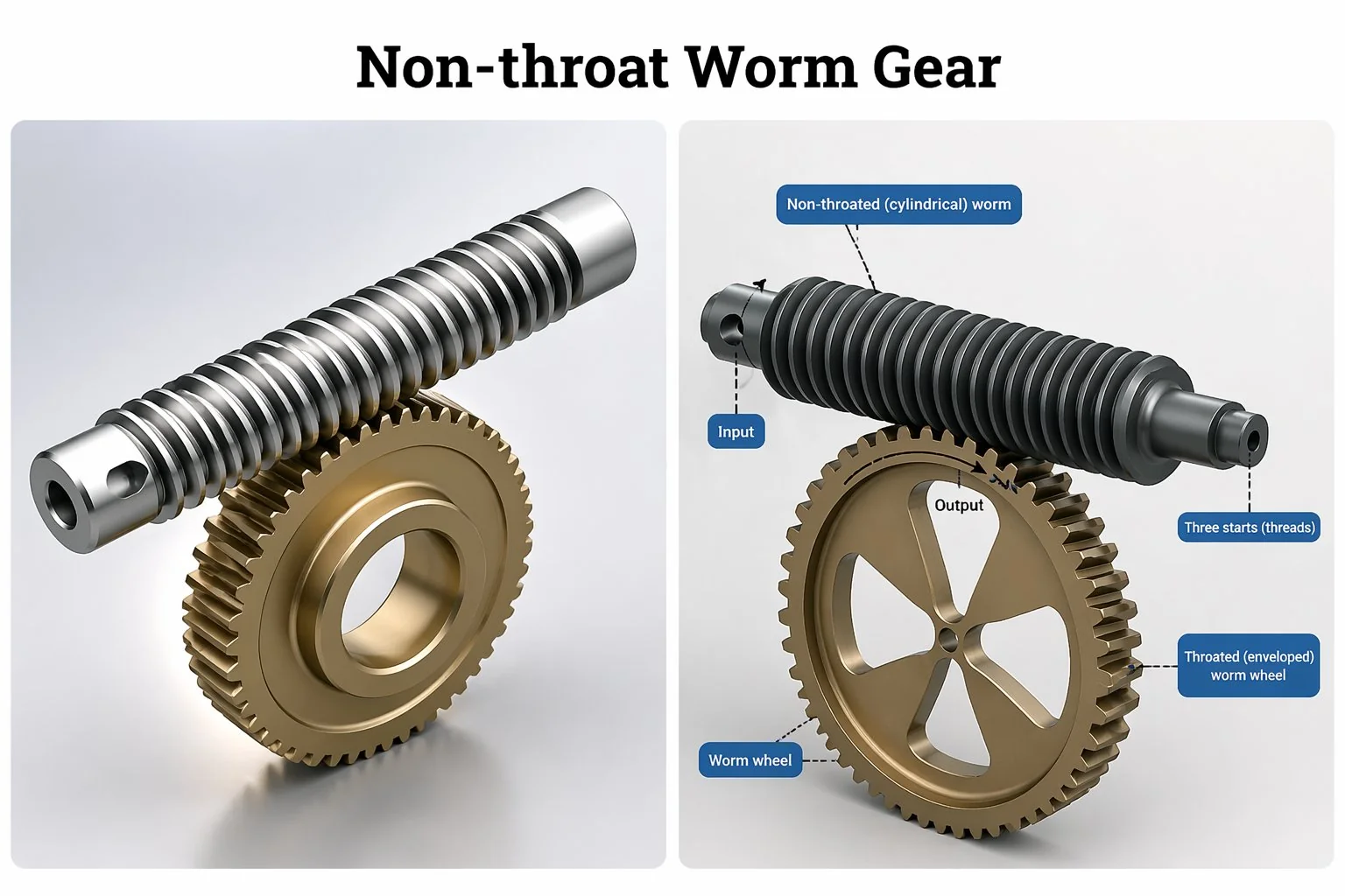 Non-throat worm gear with cylindrical worm and straight worm wheel