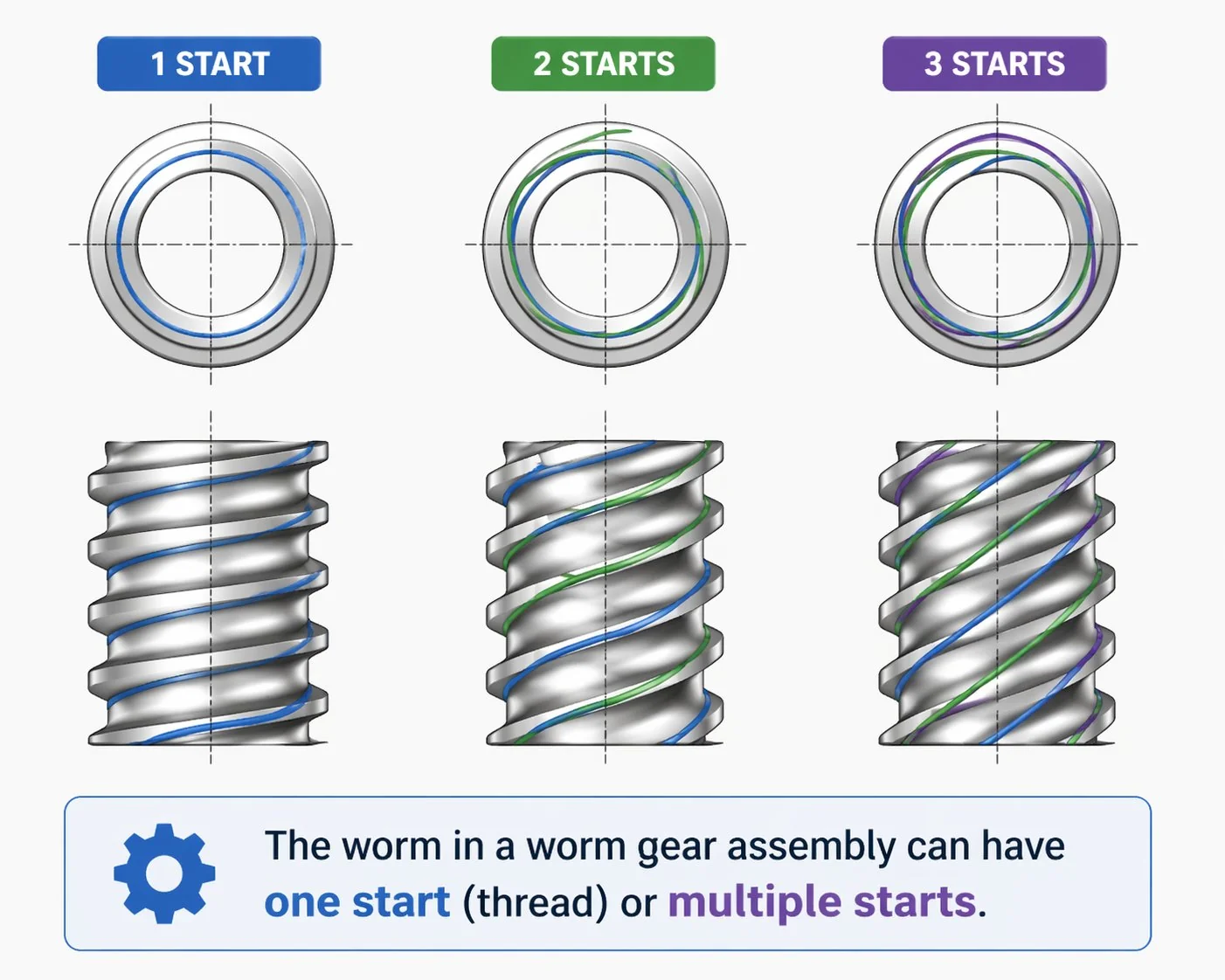 Worm shaft showing thread starts and flank geometry